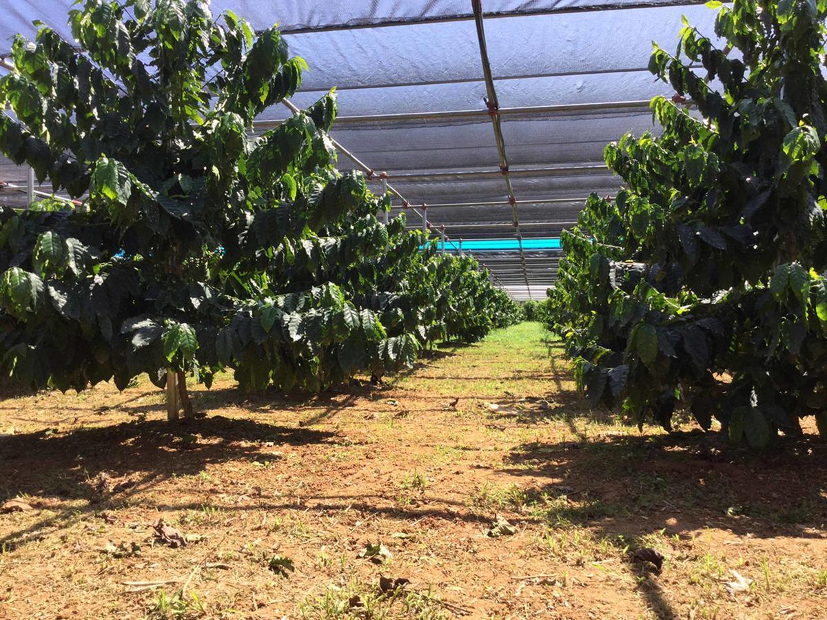 Matayoshi Coffee Farm Villa Higashi Exterior photo